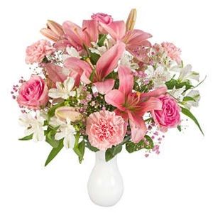 Meet your Posher, Grace